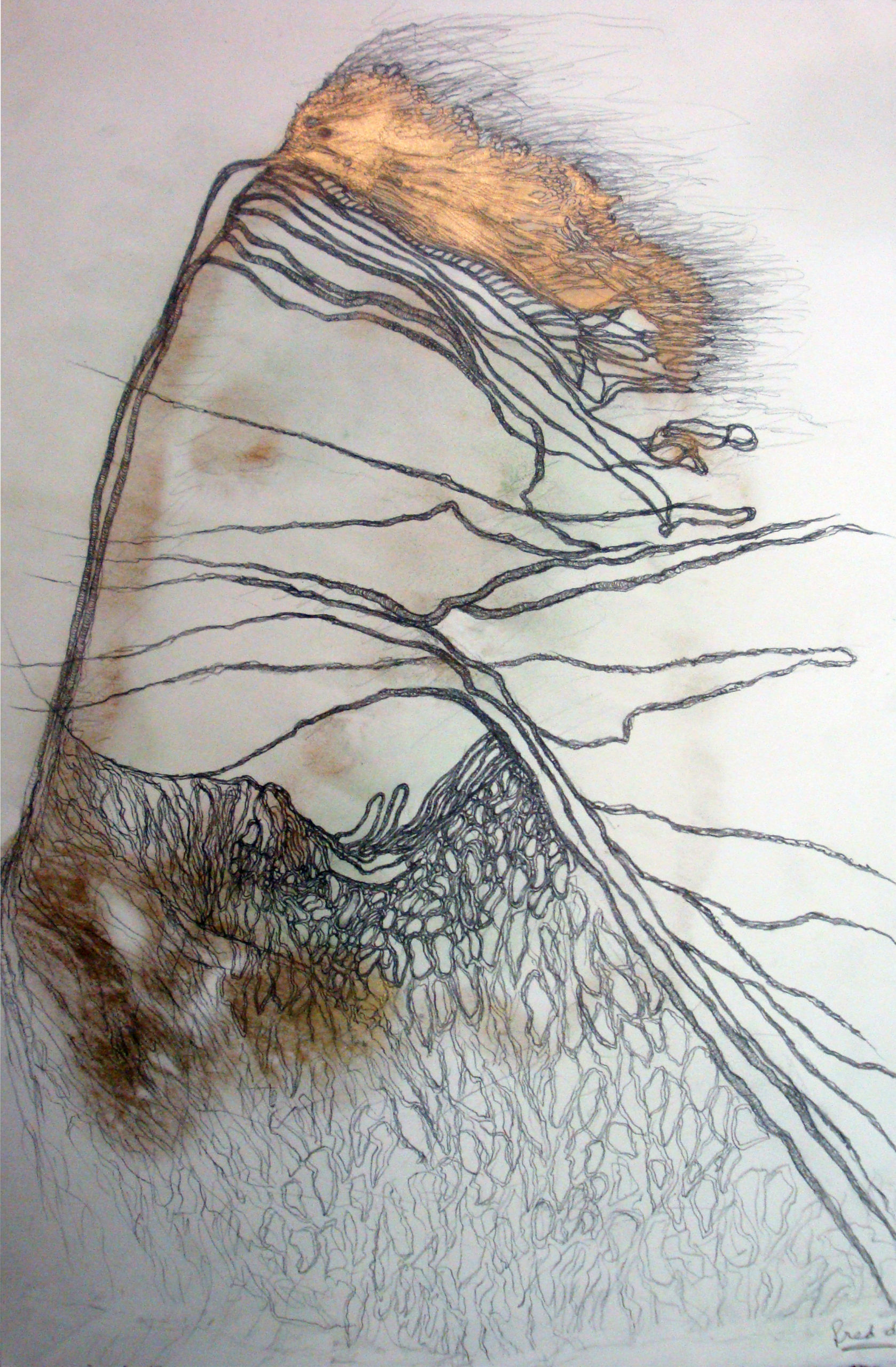 12_Fred Deux, Sans titre, 2012, mine de plomb, encre et peinture dorée sur papier, 65,5 x 40,5 cm