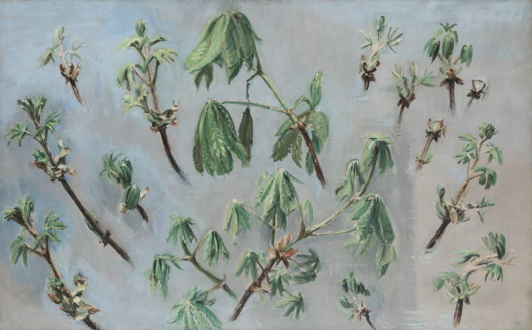 Jean Hélion, Feuilles de chataigners, 1956, huile sur toile, 82 x 130 cm