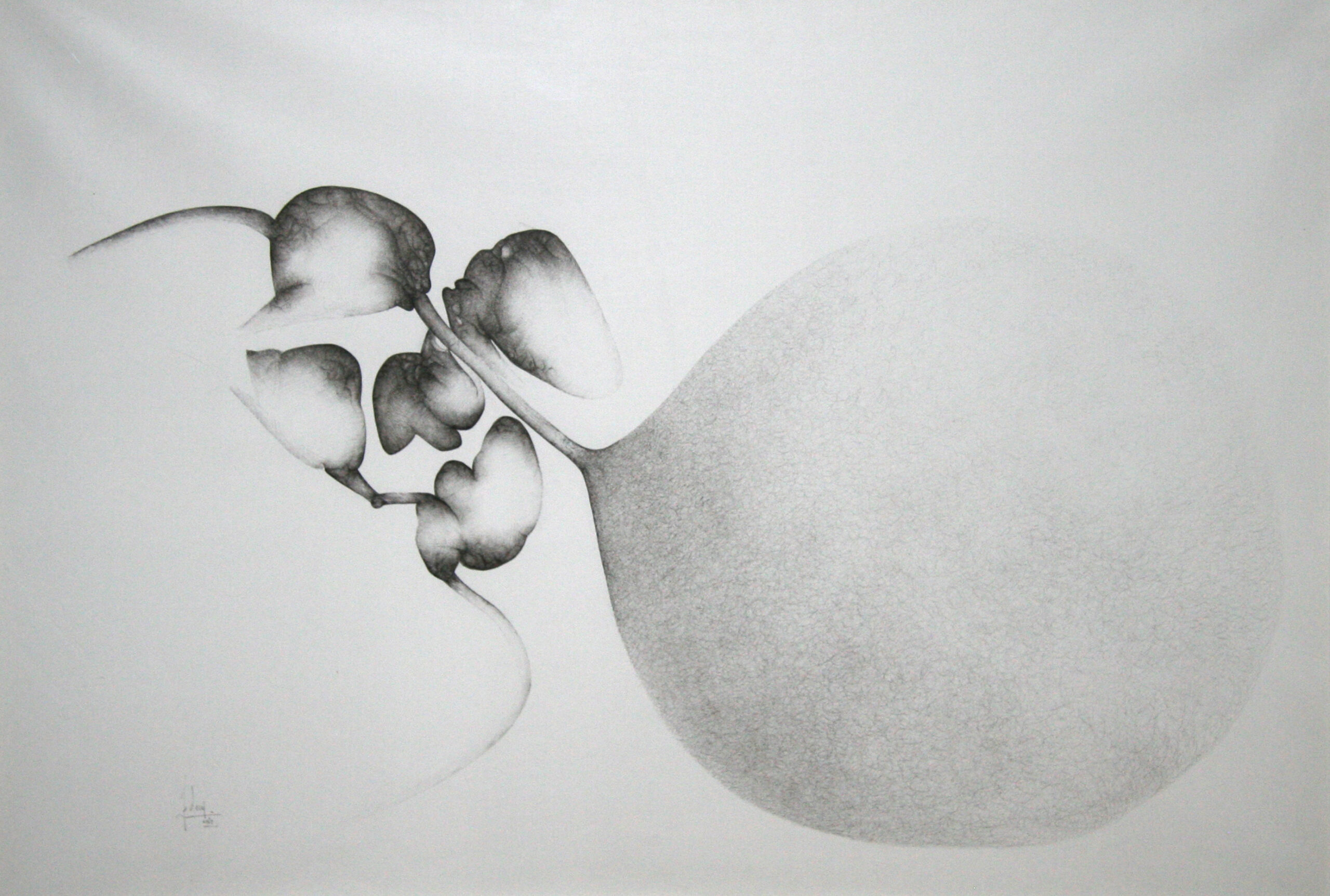 1962, Sans titre, 1962, encre de Chine sur papier, 72 x 103 cm